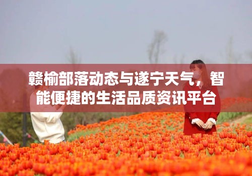 赣榆部落动态与遂宁天气,智能便捷的生活品质资讯平台