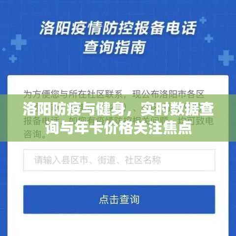 洛阳防疫与健身,实时数据查询与年卡价格关注焦点