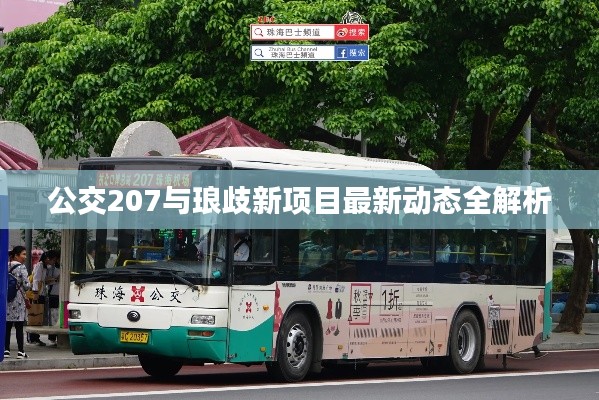 公交207与琅歧新项目最新动态全解析