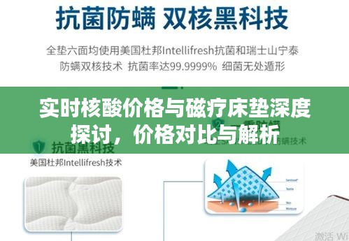 实时核酸价格与磁疗床垫深度探讨,价格对比与解析