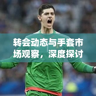 转会动态与手套市场观察,深度探讨与实时分析