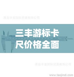 三丰游标卡尺价格全面解析，实时查询，轻松选购！
