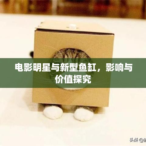 电影明星与新型鱼缸,影响与价值探究