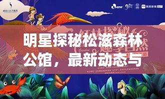 明星探秘松滋森林公馆,最新动态与拍摄乐趣揭秘
