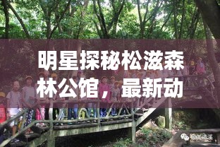 明星探秘松滋森林公馆,最新动态与拍摄乐趣揭秘