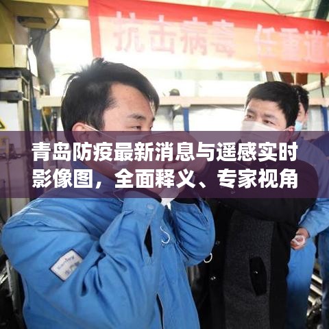 青岛防疫最新消息与遥感实时影像图,全面释义、专家视角及虚假宣传风险预警