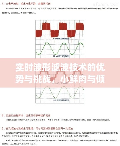 实时波形滤波技术的优势与挑战,小鲜肉与倾辛现象深度探讨