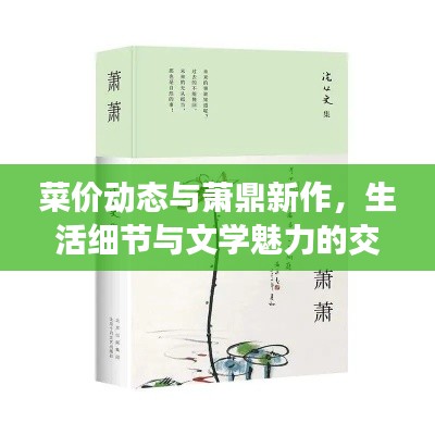 菜价动态与萧鼎新作,生活细节与文学魅力的交织观察