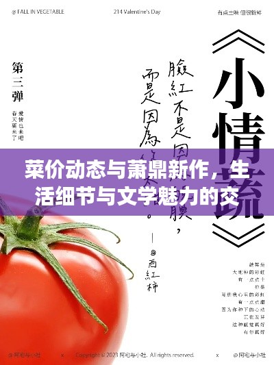 菜价动态与萧鼎新作,生活细节与文学魅力的交织观察