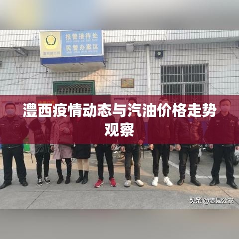 澧西疫情动态与汽油价格走势观察