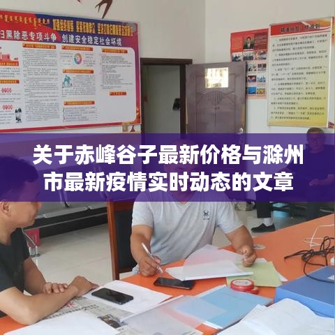 关于赤峰谷子最新价格与滁州市最新疫情实时动态的文章