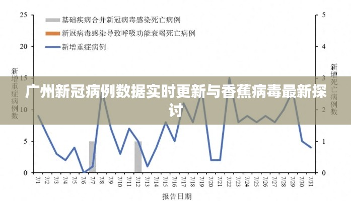 广州新冠病例数据实时更新与香蕉病毒最新探讨