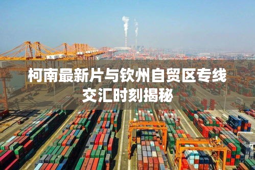 柯南最新片与钦州自贸区专线交汇时刻揭秘