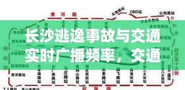 长沙逃逸事故与交通实时广播频率,交通安全与实时资讯的重要性关注