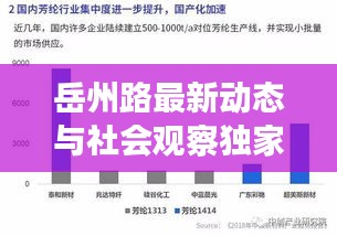 岳州路最新动态与社会观察独家解析,实时分析与独到见解