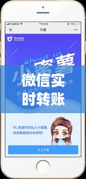 微信实时转账揭秘,小蜜坊价格动态同步观察