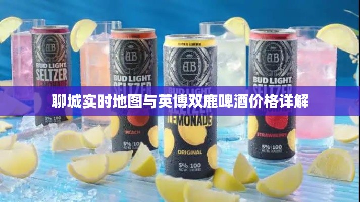 聊城实时地图与英博双鹿啤酒价格详解