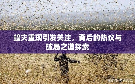 蝗灾重现引发关注,背后的热议与破局之道探索