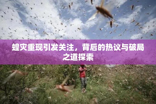蝗灾重现引发关注,背后的热议与破局之道探索