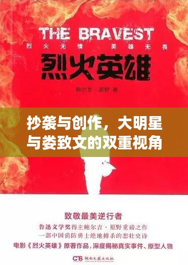 抄袭与创作,大明星与娄致文的双重视角探讨