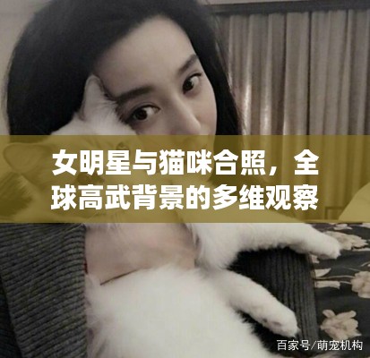 女明星与猫咪合照，全球高武背景的多维观察