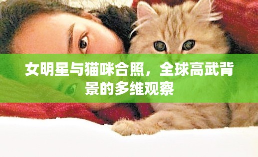 女明星与猫咪合照,全球高武背景的多维观察