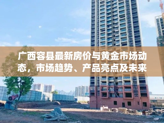 广西容县最新房价与黄金市场动态,市场趋势、产品亮点及未来展望