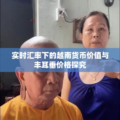 实时汇率下的越南货币价值与丰耳垂价格探究