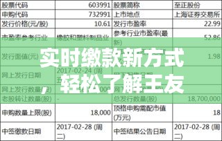 实时缴款新方式,轻松了解王友石价格