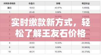 实时缴款新方式,轻松了解王友石价格