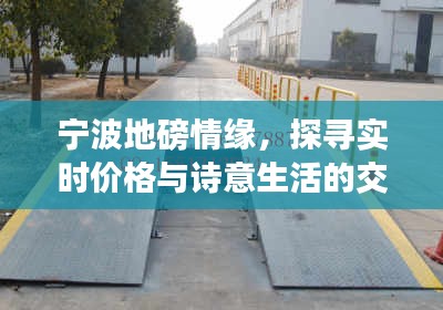 宁波地磅情缘,探寻实时价格与诗意生活的交融之道