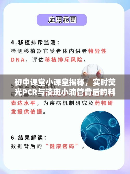 初中课堂小课堂揭秘,实时荧光PCR与淡斑小滴管背后的科技奥秘