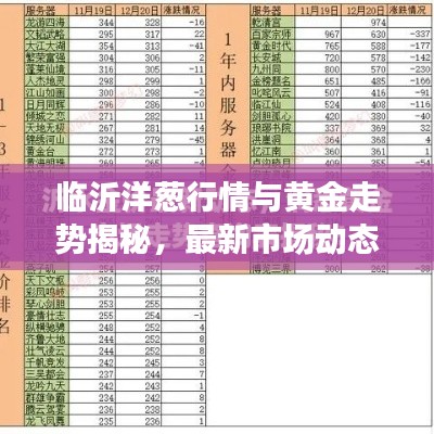 临沂洋葱行情与黄金走势揭秘,最新市场动态关注指南!