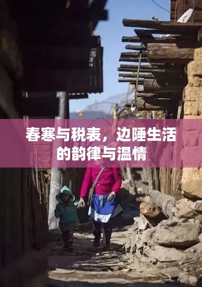 春寒与税表，边陲生活的韵律与温情