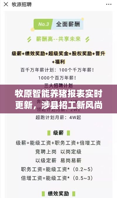 牧原智能养猪报表实时更新,涉县招工新风尚,挑战养猪行业新高度!