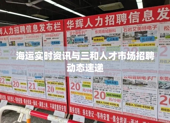 海运实时资讯与三和人才市场招聘动态速递