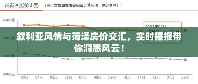 叙利亚风情与菏泽房价交汇,实时播报带你洞悉风云!