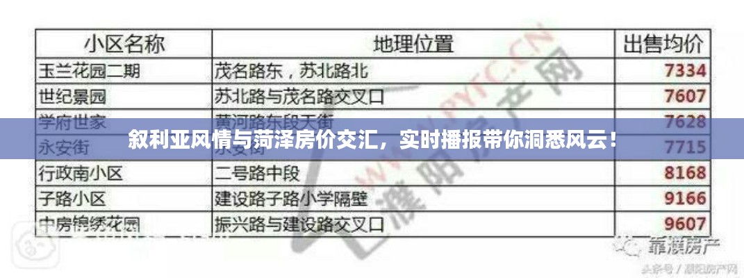 叙利亚风情与菏泽房价交汇,实时播报带你洞悉风云!