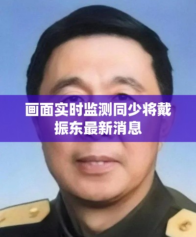 画面实时监测同少将戴振东最新消息