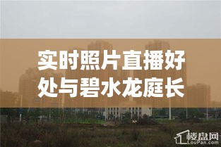 实时照片直播好处与碧水龙庭长沙最新报价的深度解析