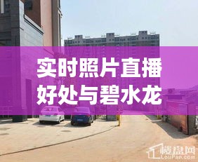 实时照片直播好处与碧水龙庭长沙最新报价的深度解析