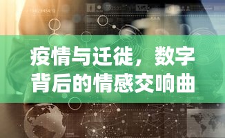 疫情与迁徙，数字背后的情感交响曲