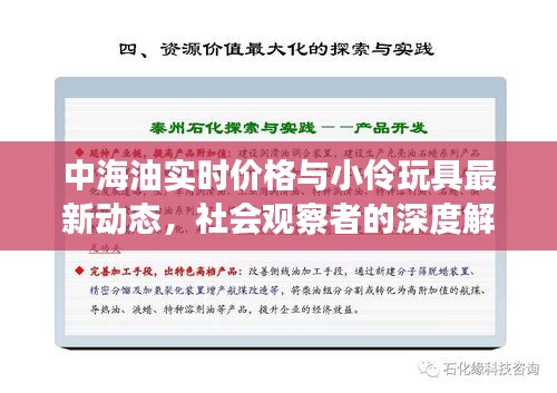 中海油实时价格与小伶玩具最新动态,社会观察者的深度解读