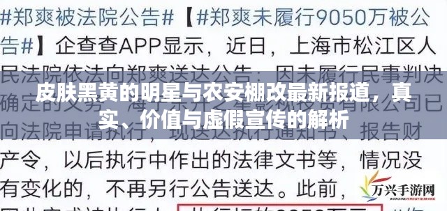 皮肤黑黄的明星与农安棚改最新报道，真实、价值与虚假宣传的解析