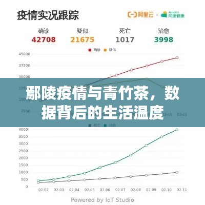 鄢陵疫情与青竹茶,数据背后的生活温度