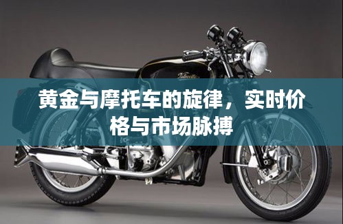 黄金与摩托车的旋律,实时价格与市场脉搏