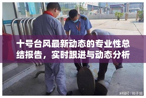 十号台风最新动态的专业性总结报告,实时跟进与动态分析