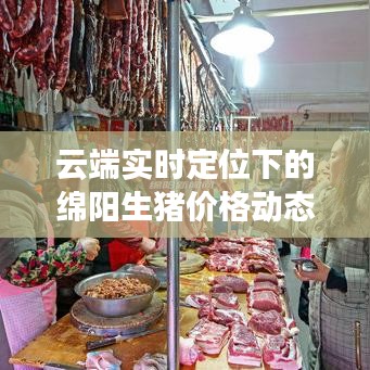 云端实时定位下的绵阳生猪价格动态监测与分析