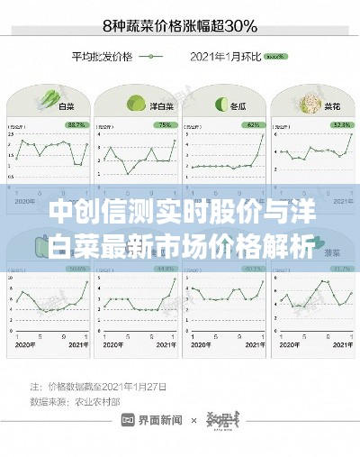 中创信测实时股价与洋白菜最新市场价格解析