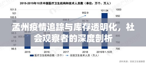孟州疫情追踪与库存透明化,社会观察者的深度剖析